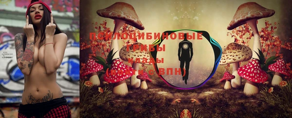 прущие крисы Баксан