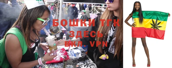 мяу мяу мука Аркадак