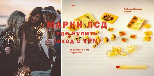 мяу мяу мука Аркадак